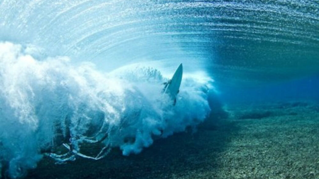 Lassdive - Cours d'apnée Surf Survival