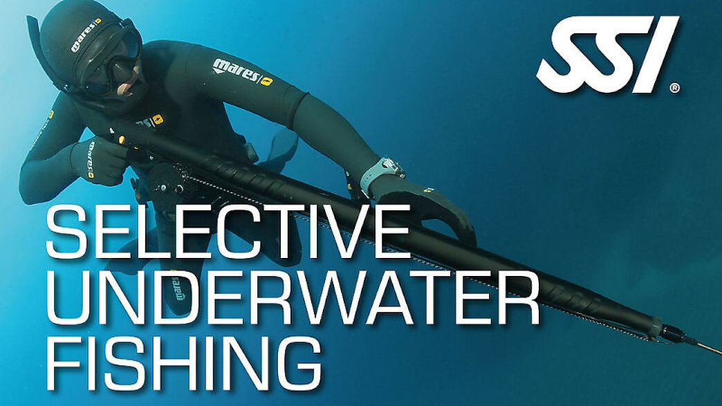 Lassdive - Cours d'apnée entraînement chasse sous-marine SSI PADI AIDA CMAS